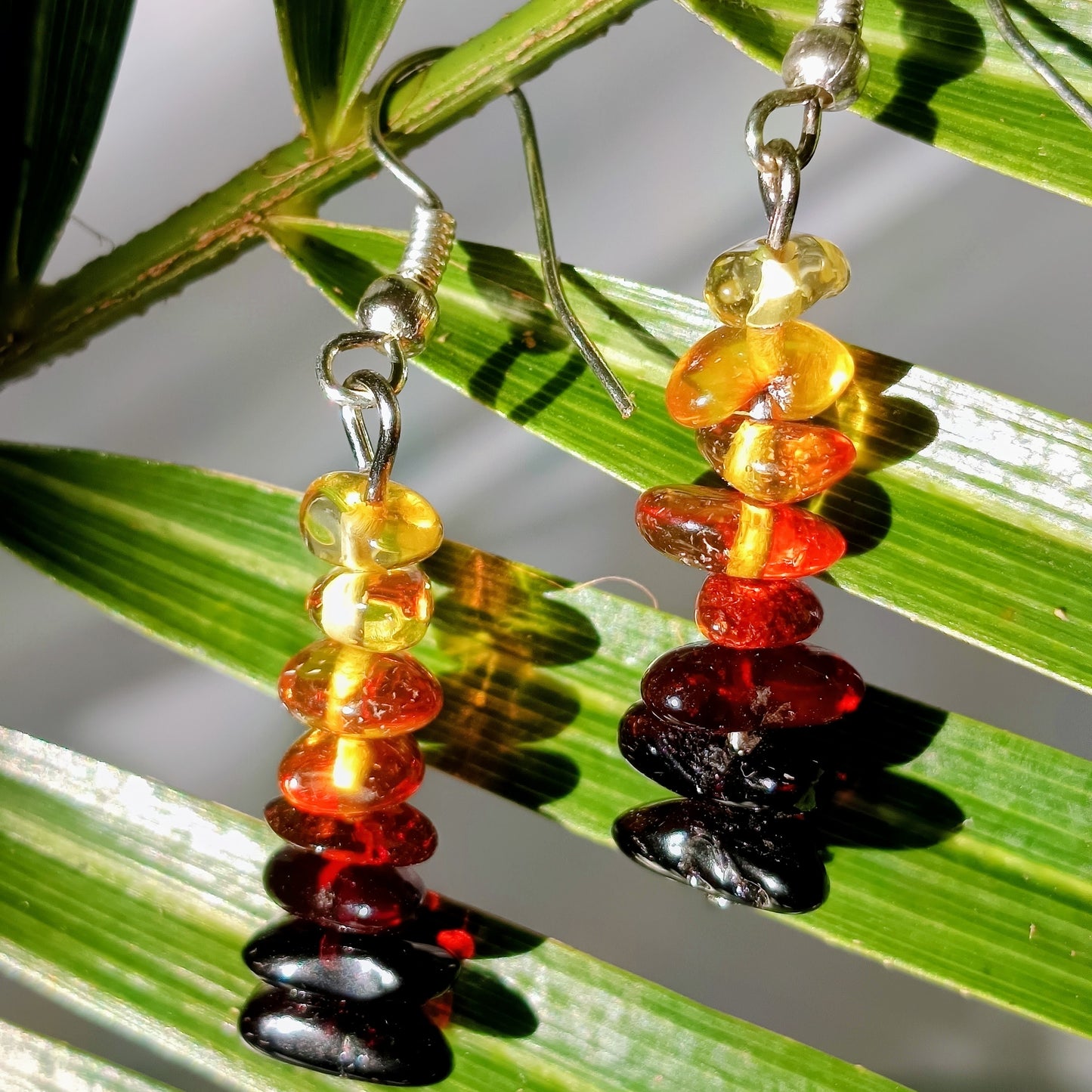 Amber earrings "Ombre"