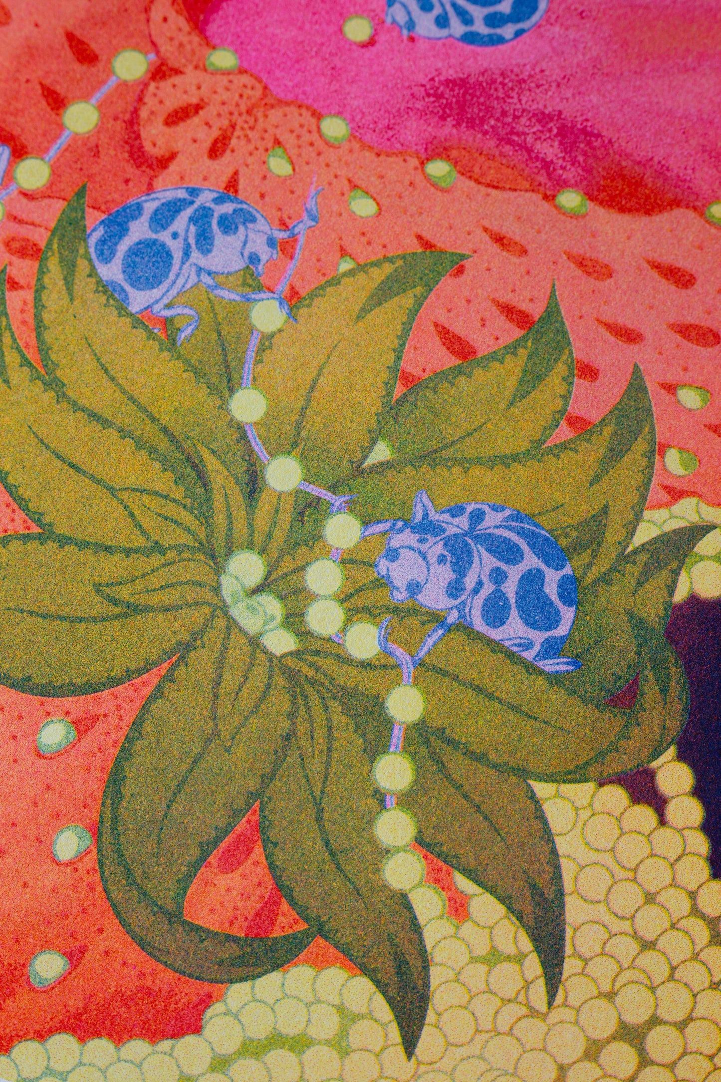 Alice Saey A3 – Minuscule