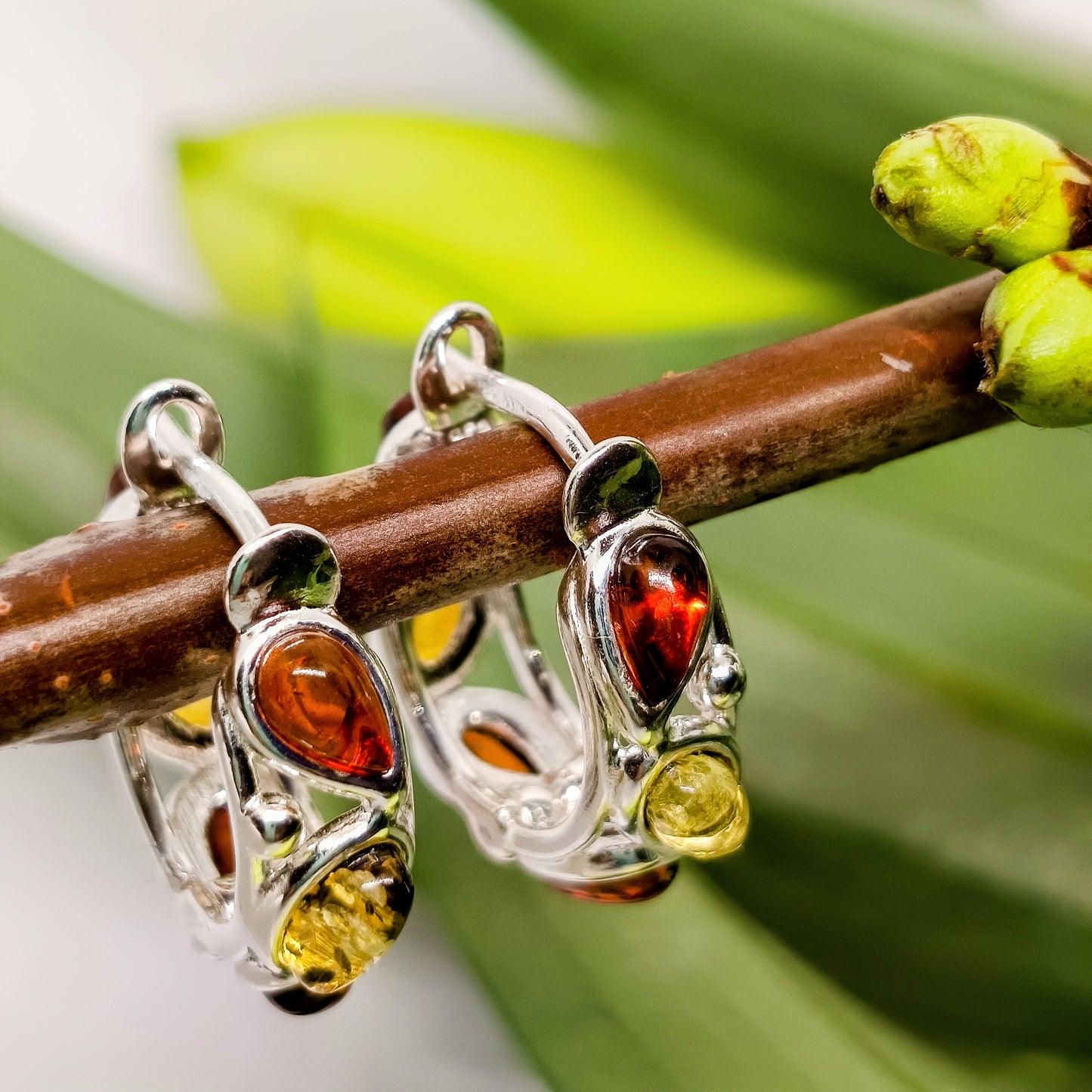 Crystal earrings made of Baltic amber