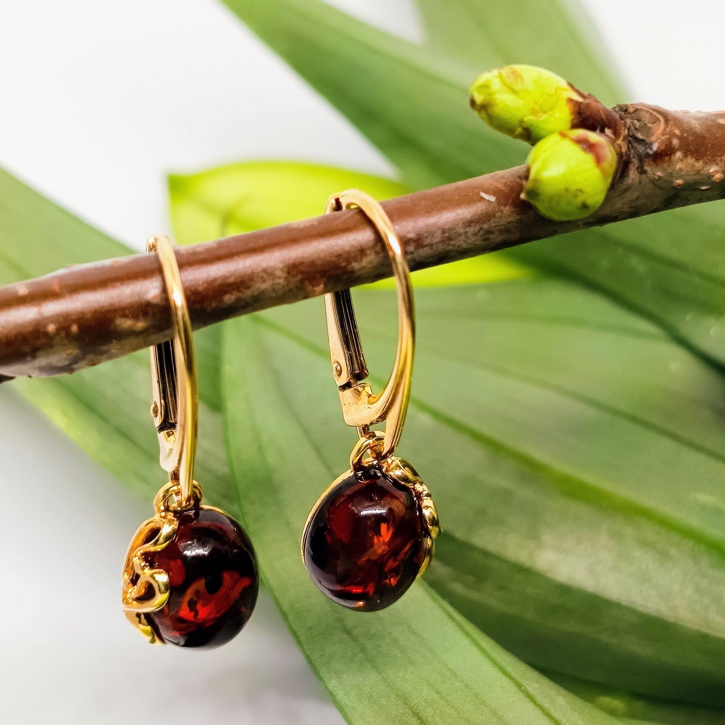 Amber earrings, cognac, gold-plated 925 silver
