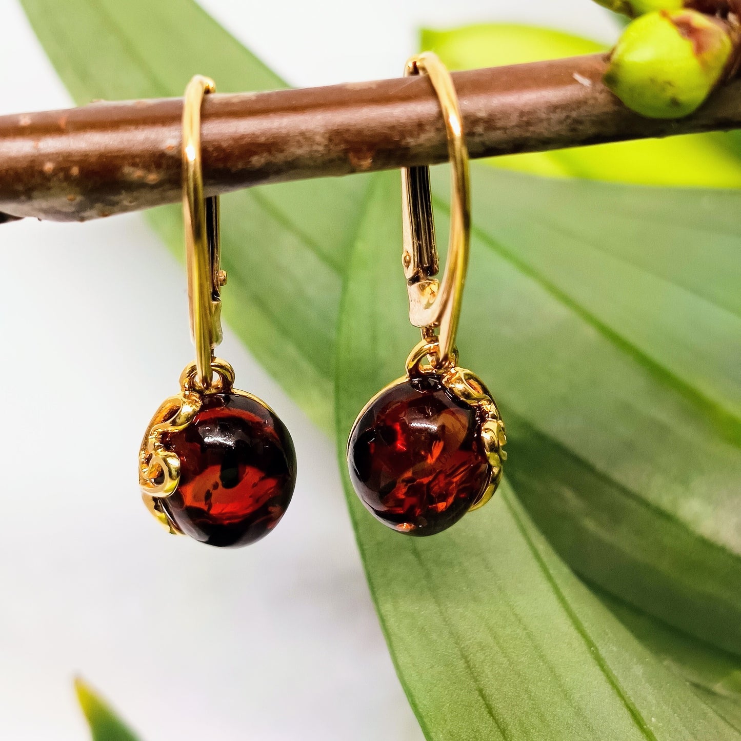 Amber earrings, cognac, gold-plated 925 silver
