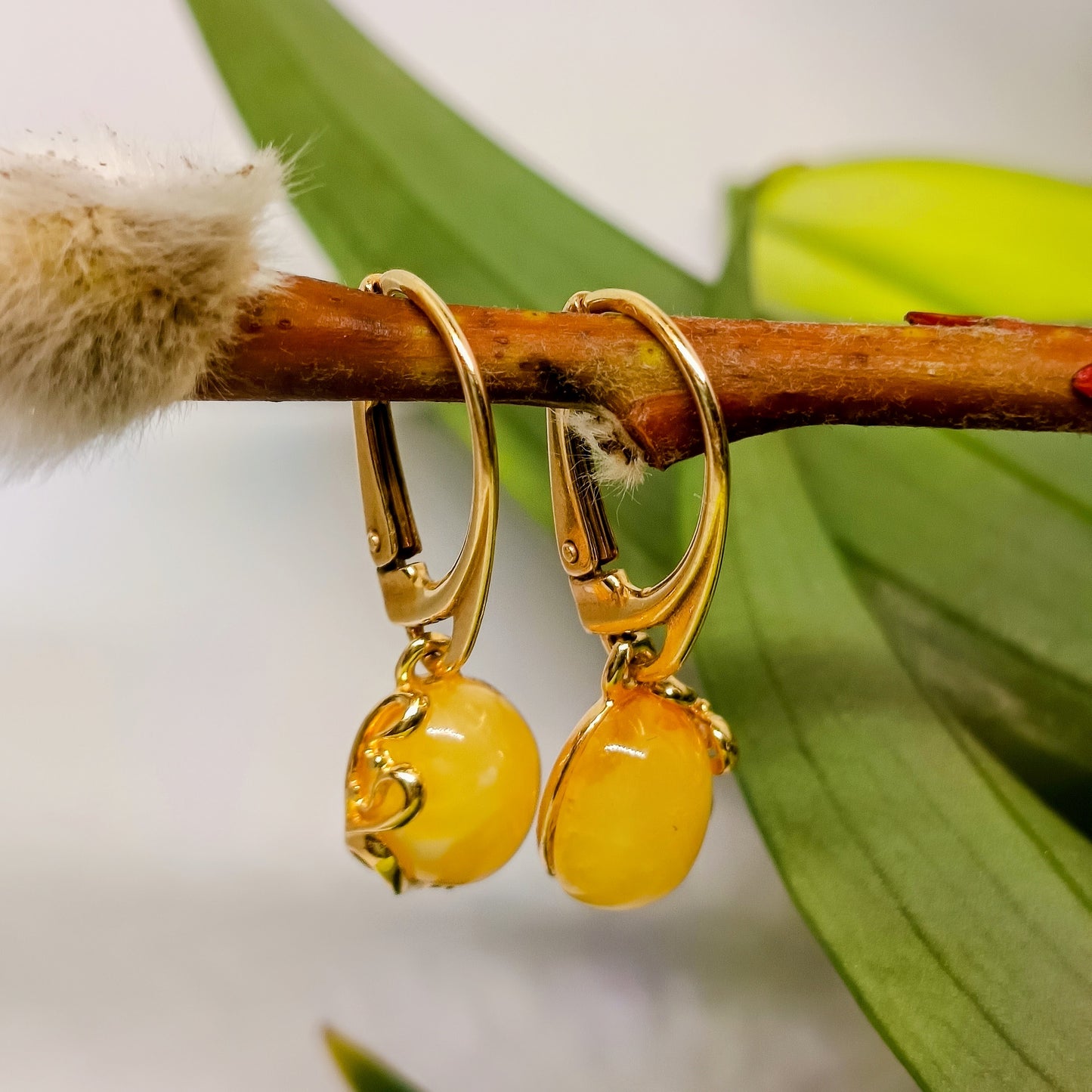 Weiße Ohrringe aus baltischem Bernstein, 925 Silber vergoldet