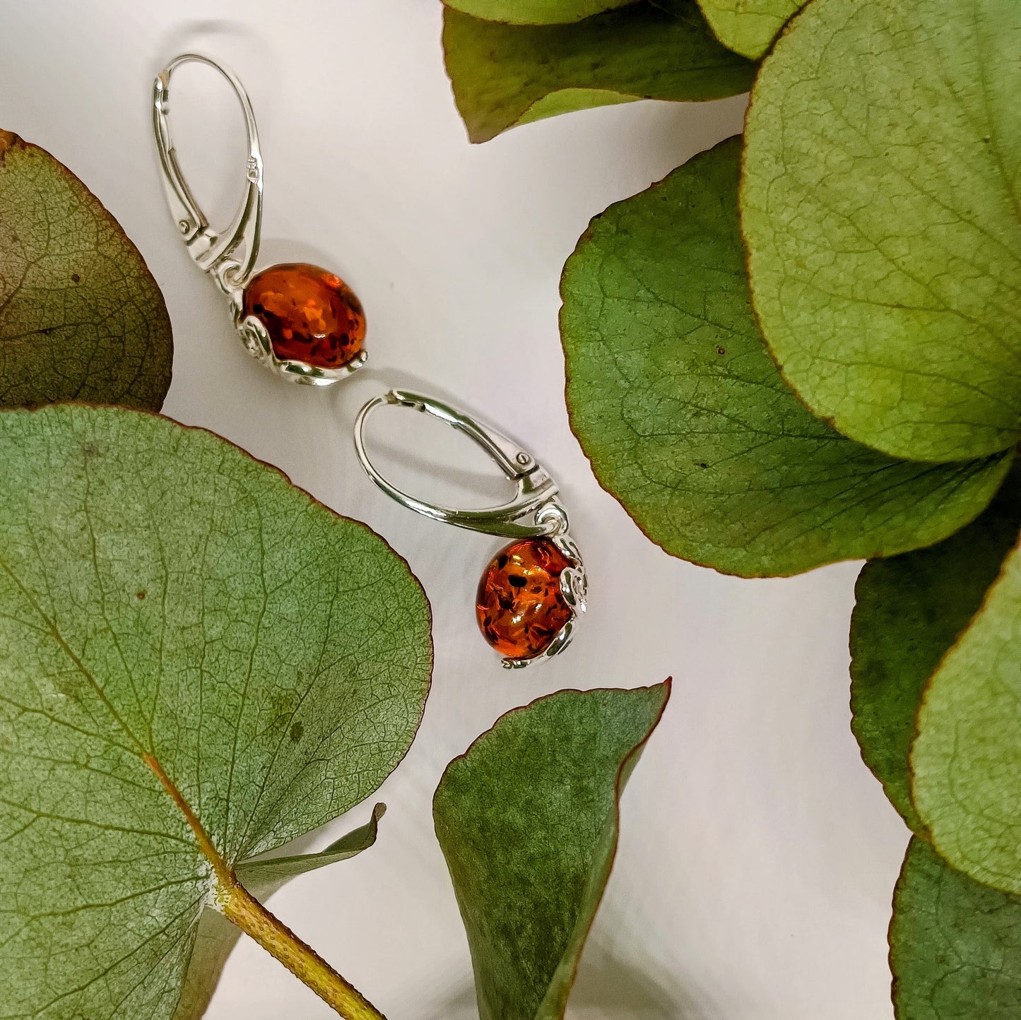 Amber earrings Julia, 925 silver