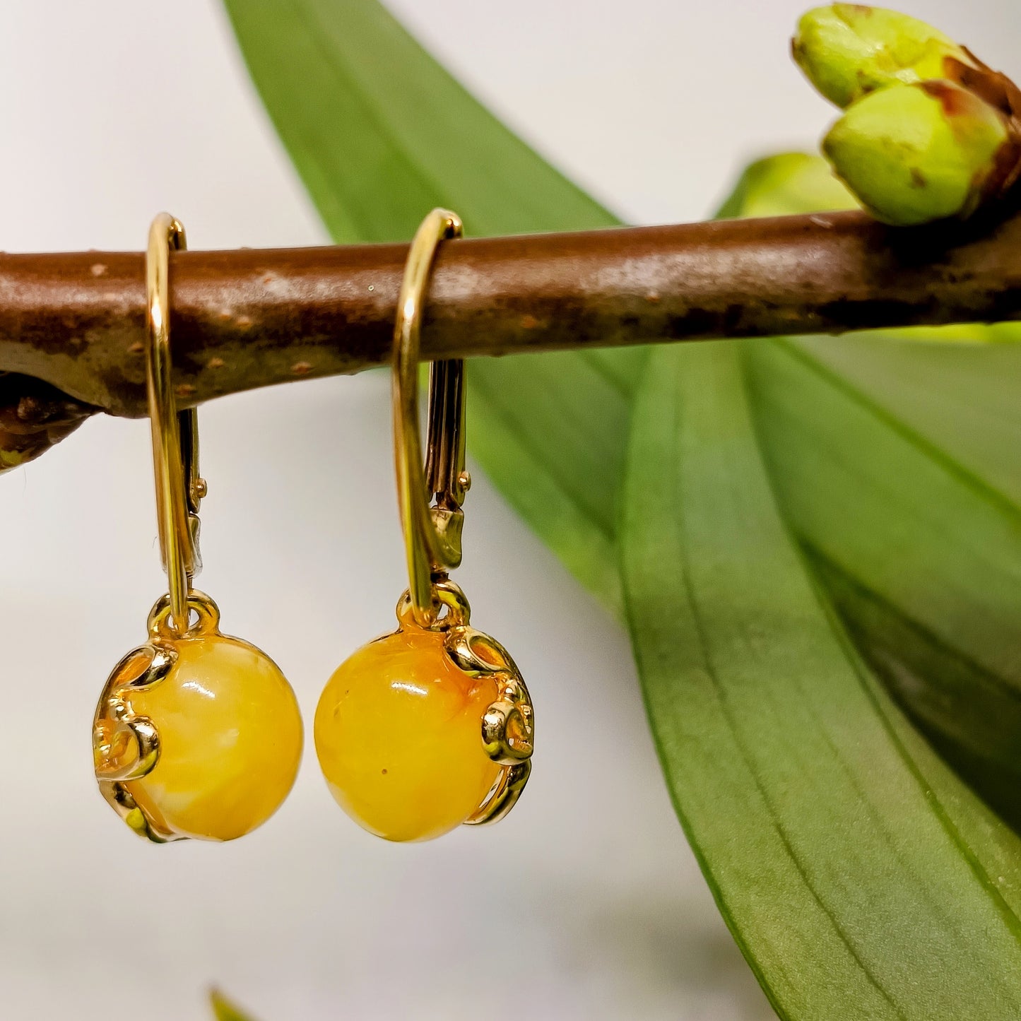 Weiße Ohrringe aus baltischem Bernstein, 925 Silber vergoldet