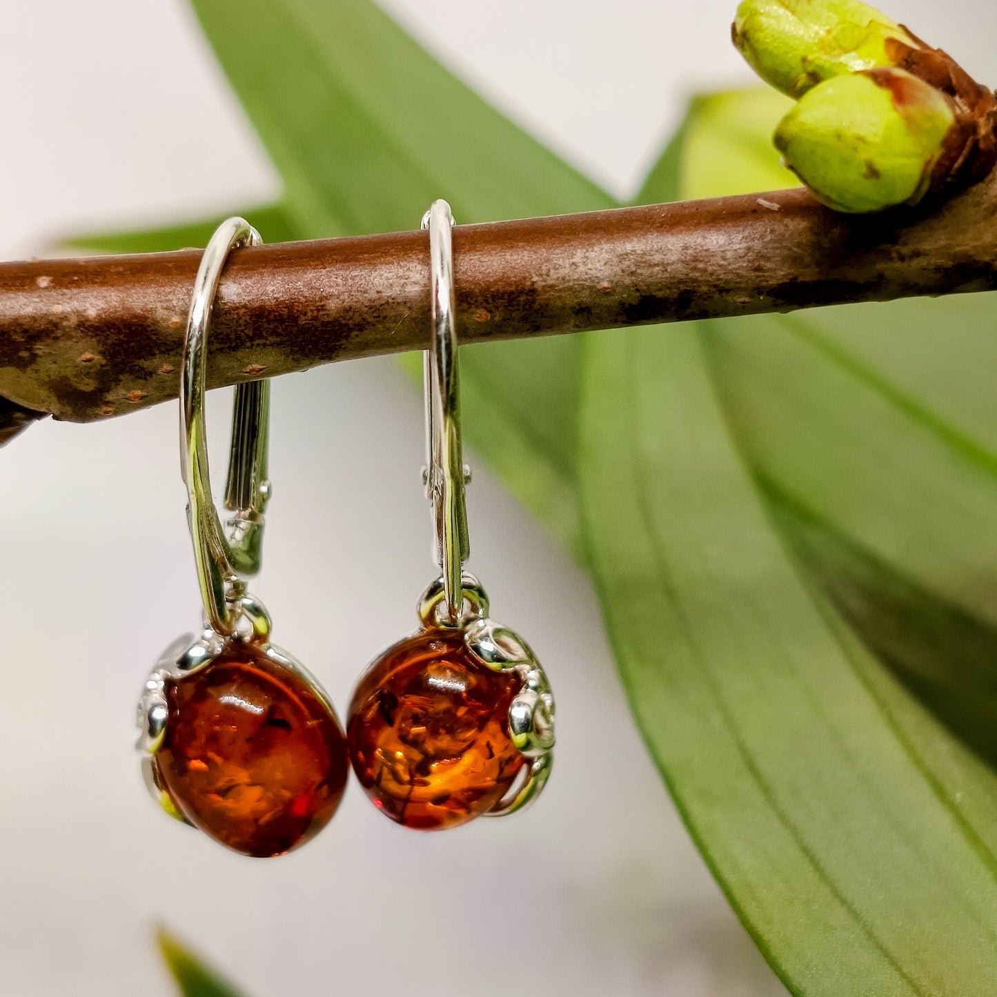 Amber earrings Julia, 925 silver